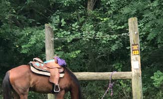 Julie C.'s photo of camping with a horse at Lake of Three Fires State Park Campground near Skidmore, MO