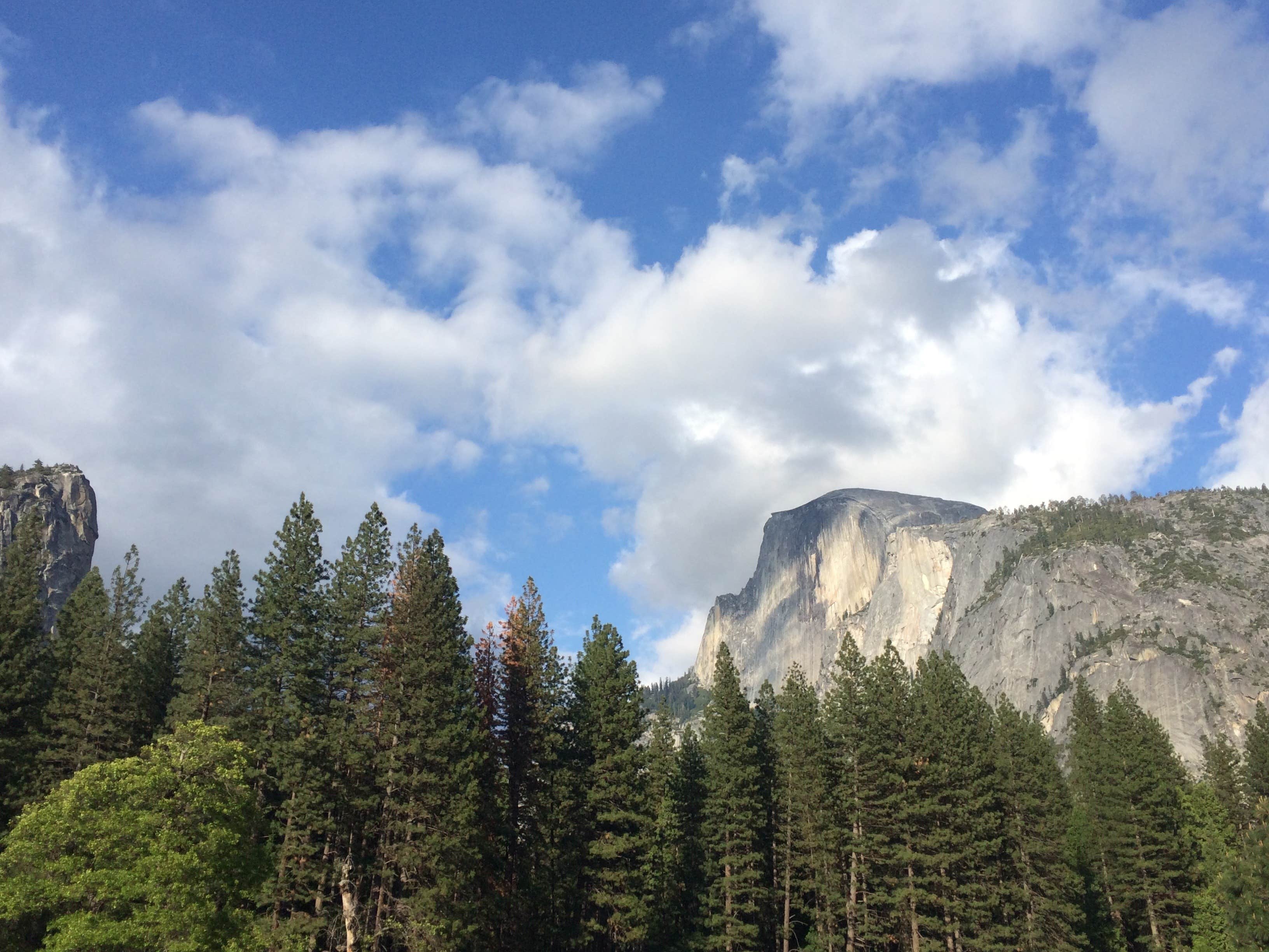 Camper submitted image from Hodgdon Meadow Campground — Yosemite National Park - 2