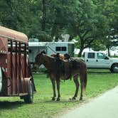 Review photo of Lake of Three Fires State Park Campground by Julie C., June 28, 2018