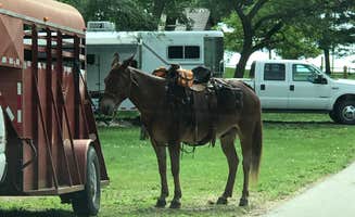 Julie C.'s photo of camping with a horse at Lake of Three Fires State Park Campground near Davis City, IA