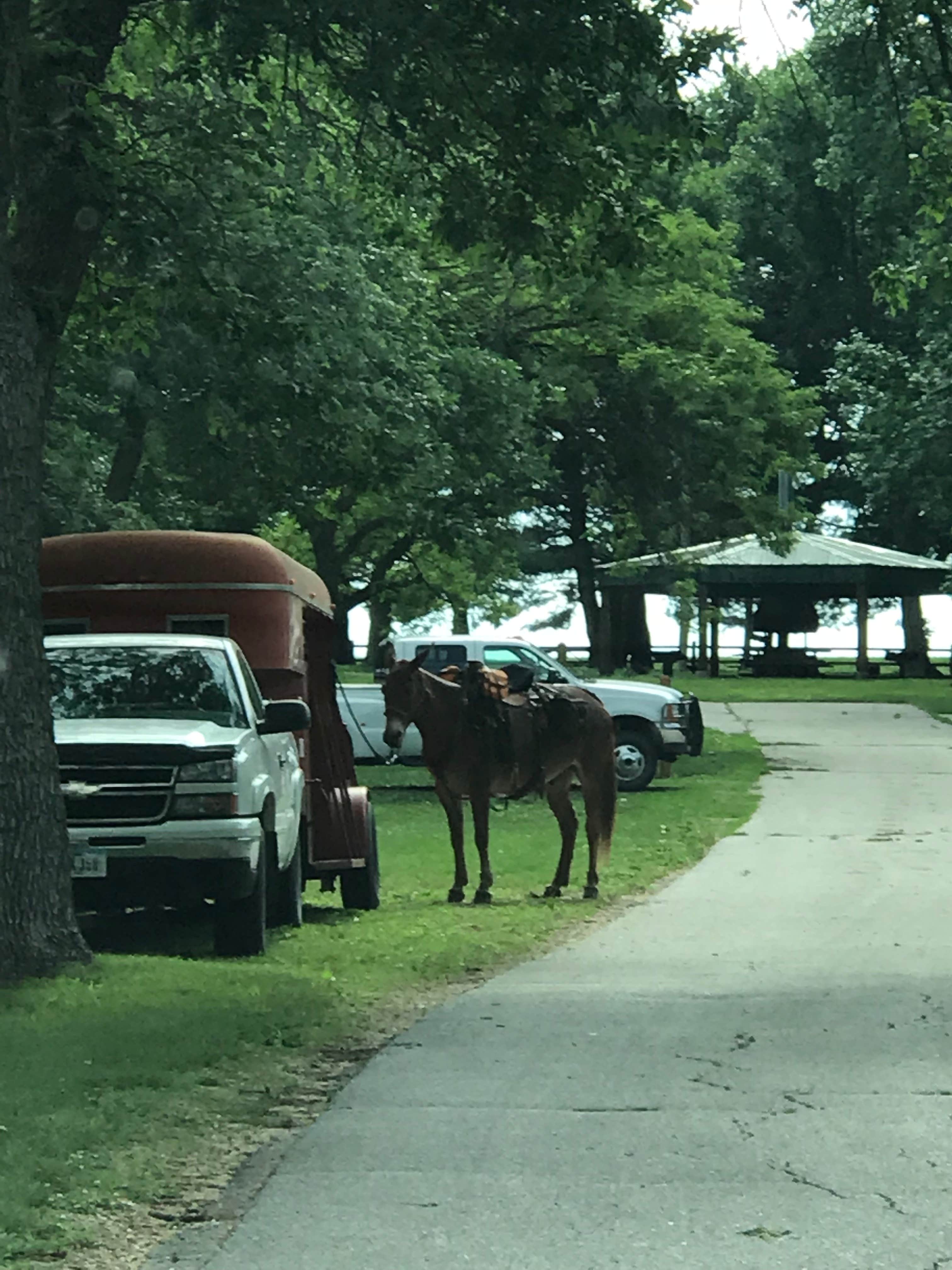 Camper submitted image from Lake of Three Fires State Park Campground - 3