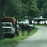 Review photo of Lake of Three Fires State Park Campground by Julie C., June 28, 2018