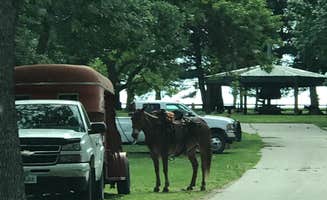 Julie C.'s photo of rv camping at Lake of Three Fires State Park Campground near Villisca, IA