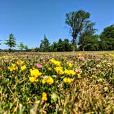 Review photo of Crown Point State Historic Site by Shari  G., June 28, 2018