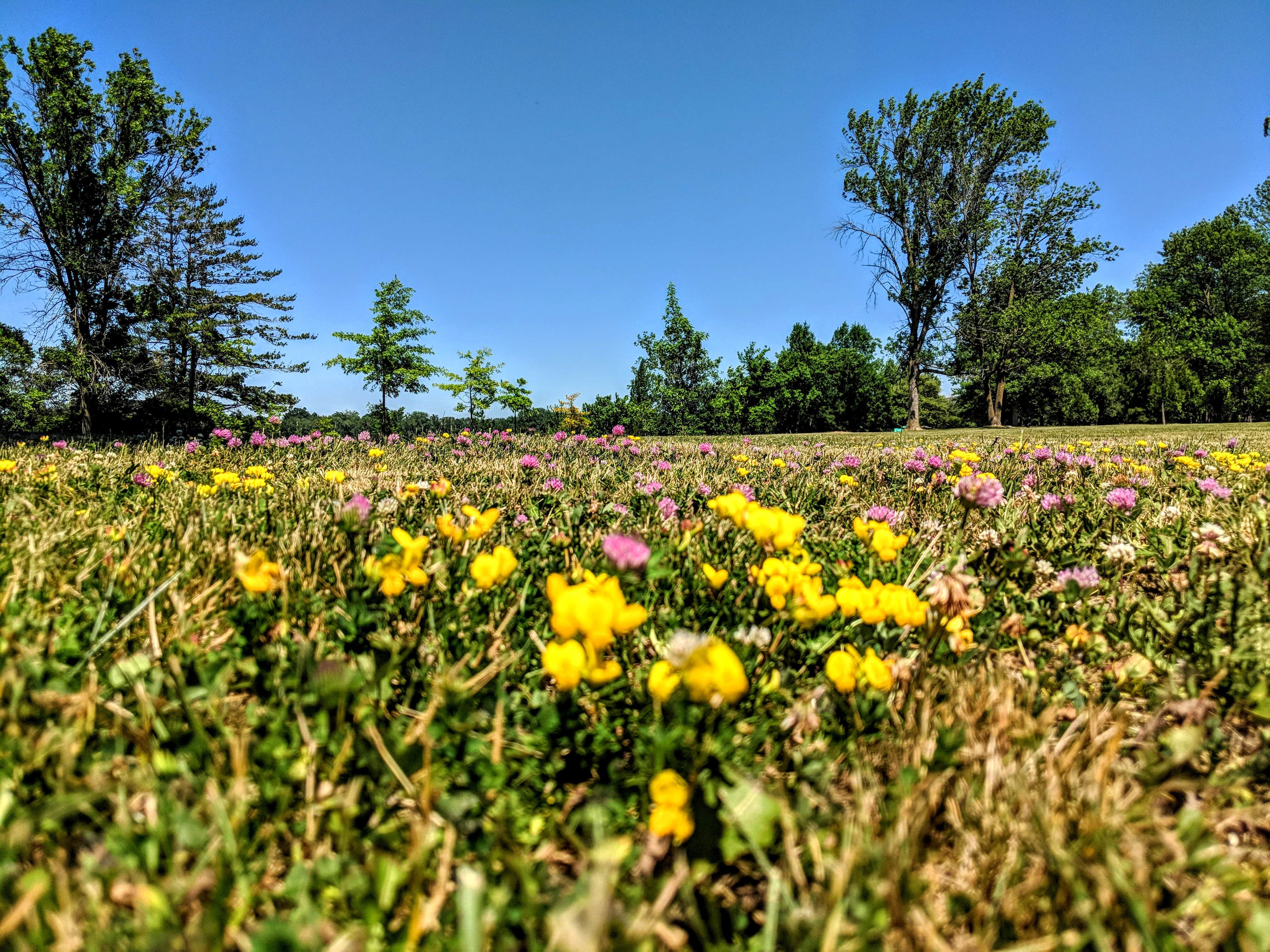 Camper submitted image from Crown Point State Historic Site - 3