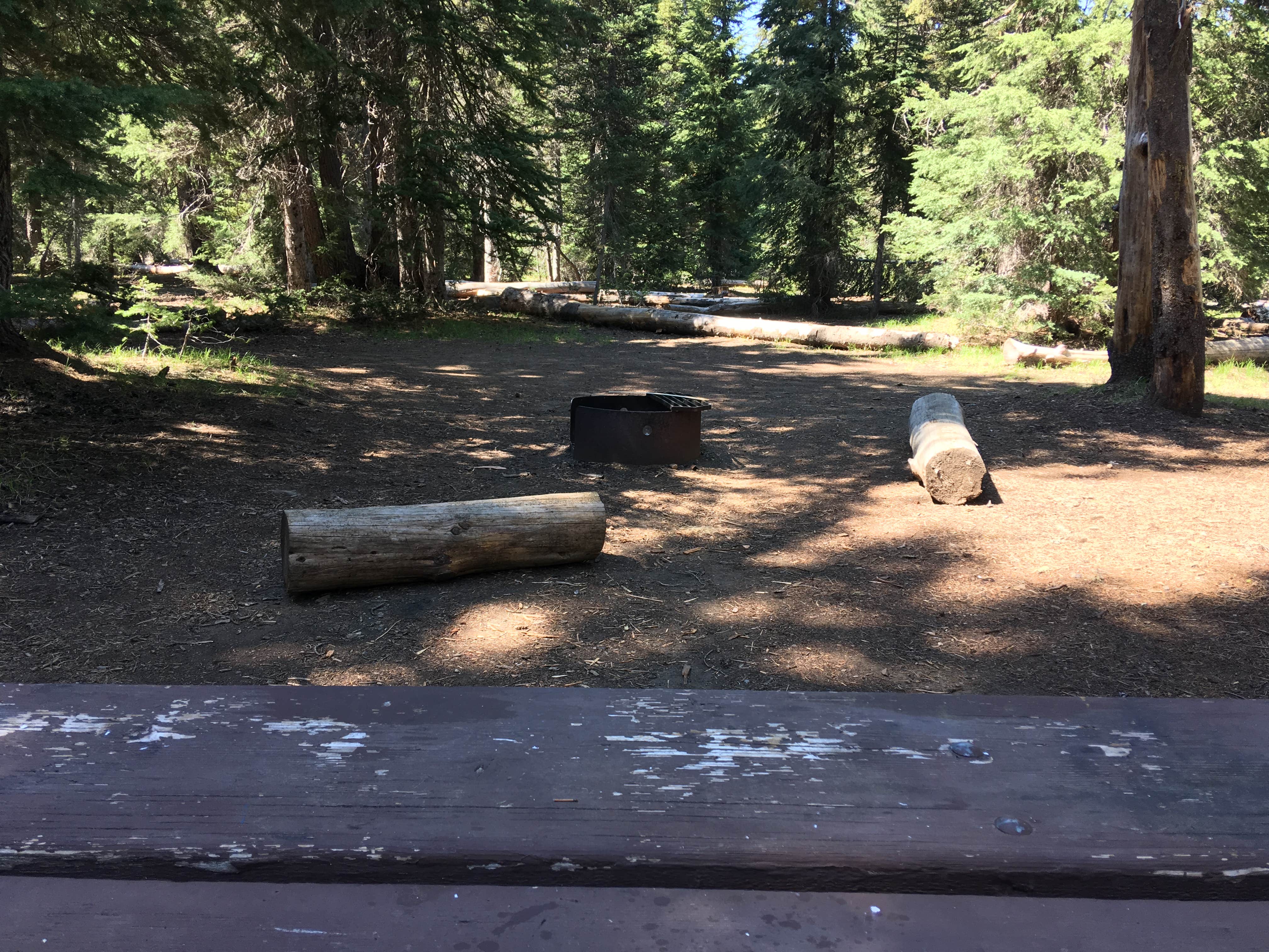 Mazama Village Campground — Crater Lake National Park