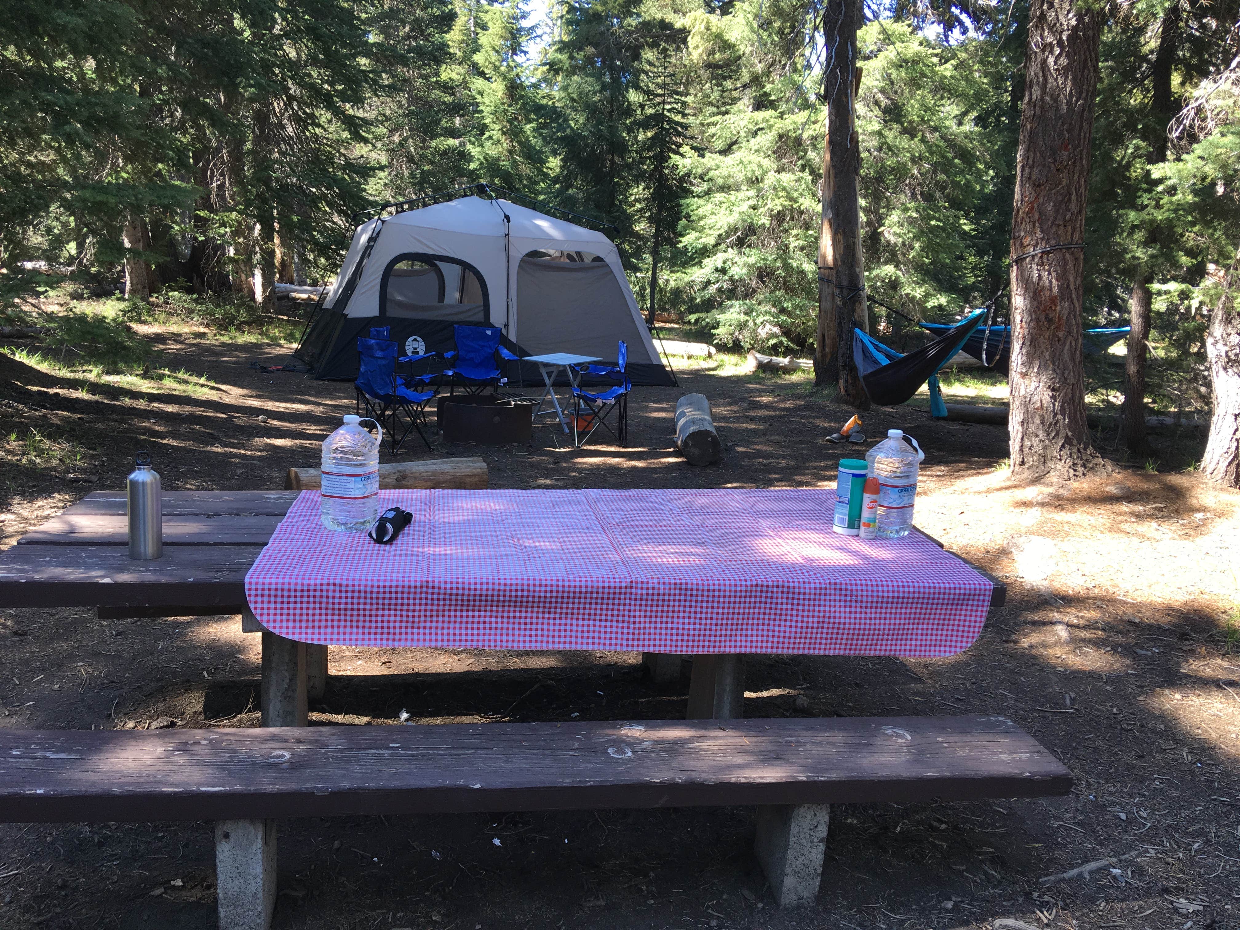 Celina M.'s photo at Mazama Village Campground — Crater Lake National Park near Prospect, OR