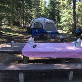 Review photo of Mazama Village Campground — Crater Lake National Park by Celina M., June 28, 2018