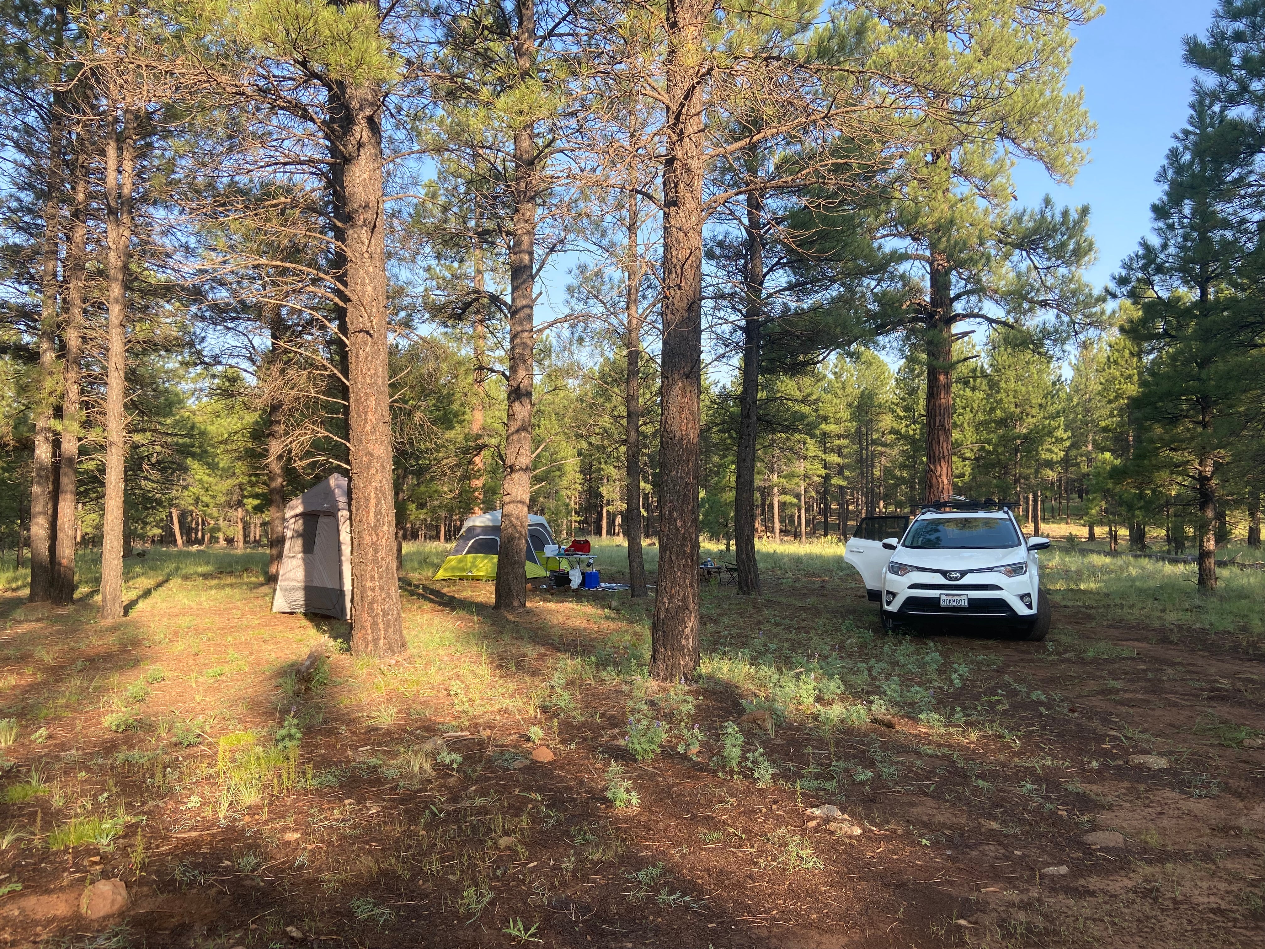Camper submitted image from Walker Hill Dispersed (Coconino NF) - 1