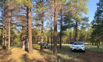 Camping near Forest Service Road 245: Walker Hill Dispersed (Coconino NF), Bellemont, Arizona