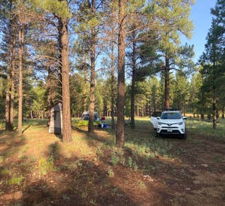 Camper-submitted photo from Walker Hill Dispersed (Coconino NF)
