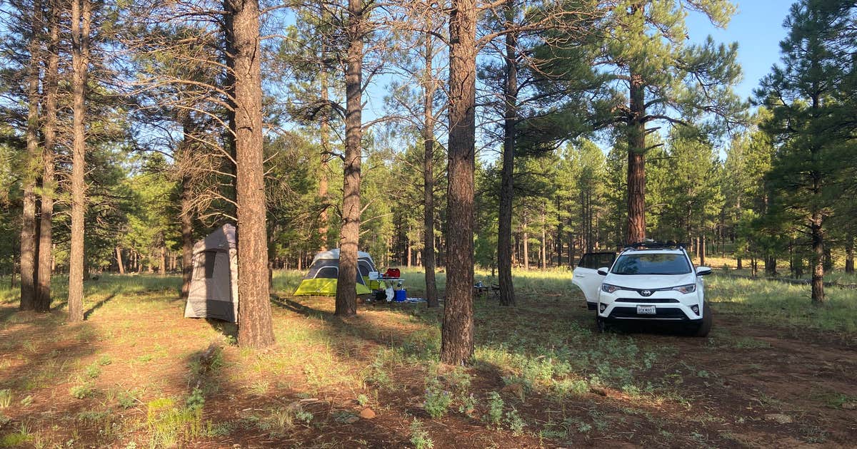 Walker Hill Dispersed (Coconino NF)