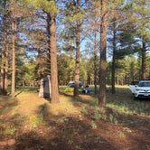 Review photo of Walker Hill Dispersed (Coconino NF) by Kelly M., September 8, 2021