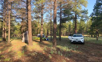 Kelly M.'s photo at Walker Hill Dispersed (Coconino NF) near Parks, AZ