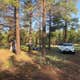 Walker Hill Dispersed (Coconino NF)