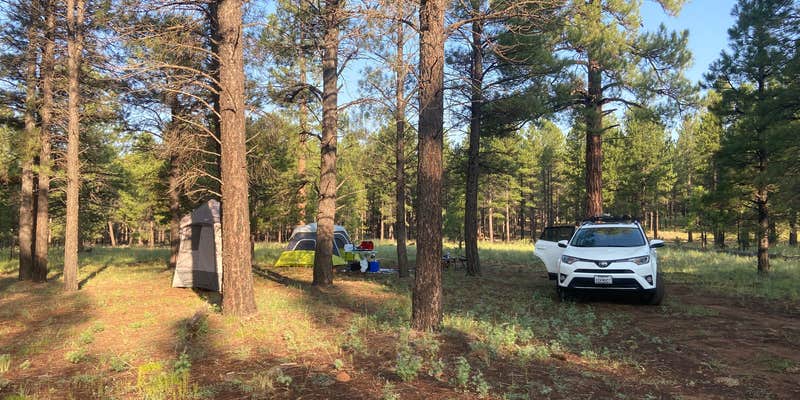 Camper submitted image from Walker Hill Dispersed (Coconino NF)