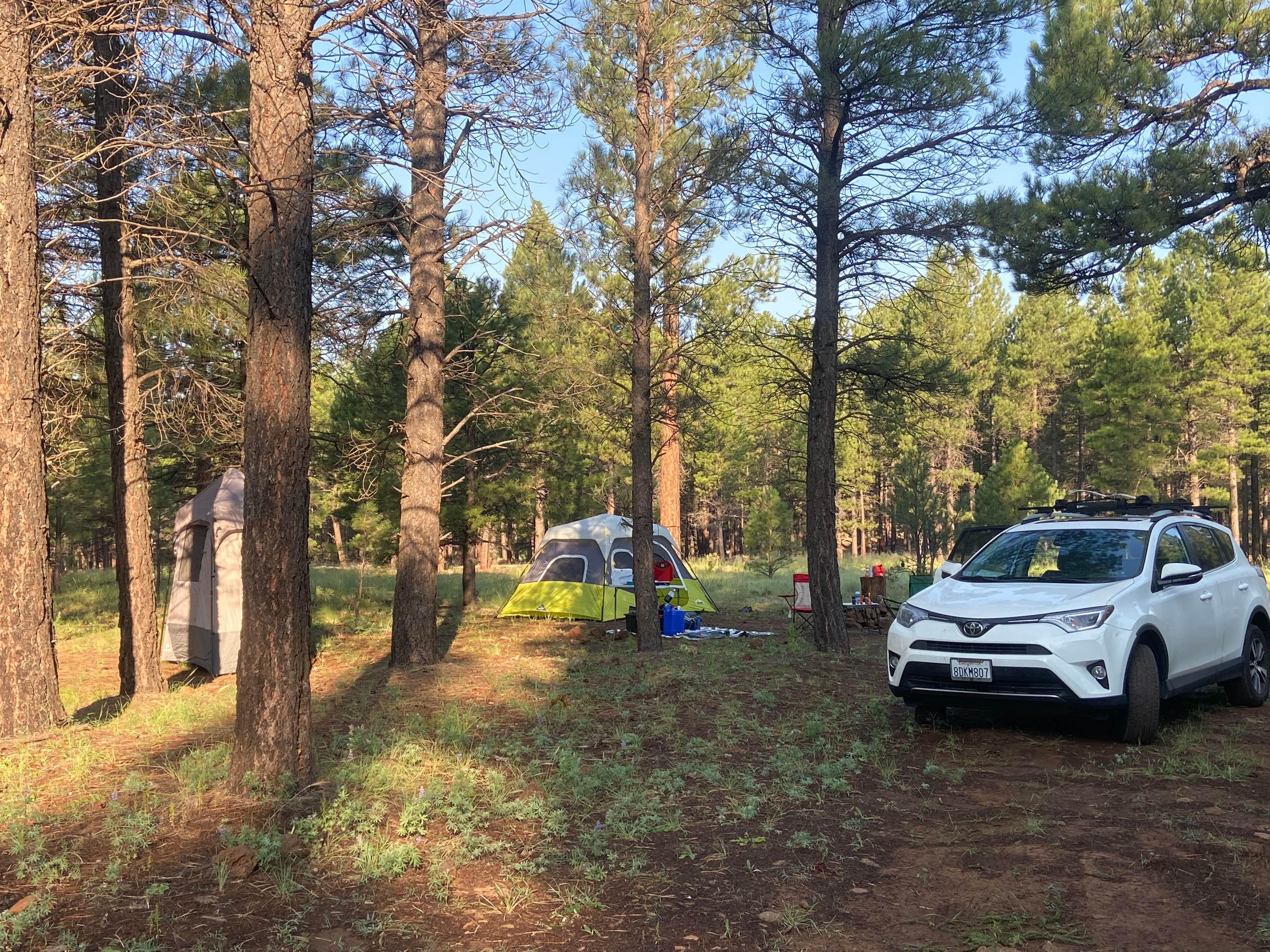 Kelly M.'s photo of a dispersed camping area at Walker Hill Dispersed (Coconino NF) near Williams, AZ