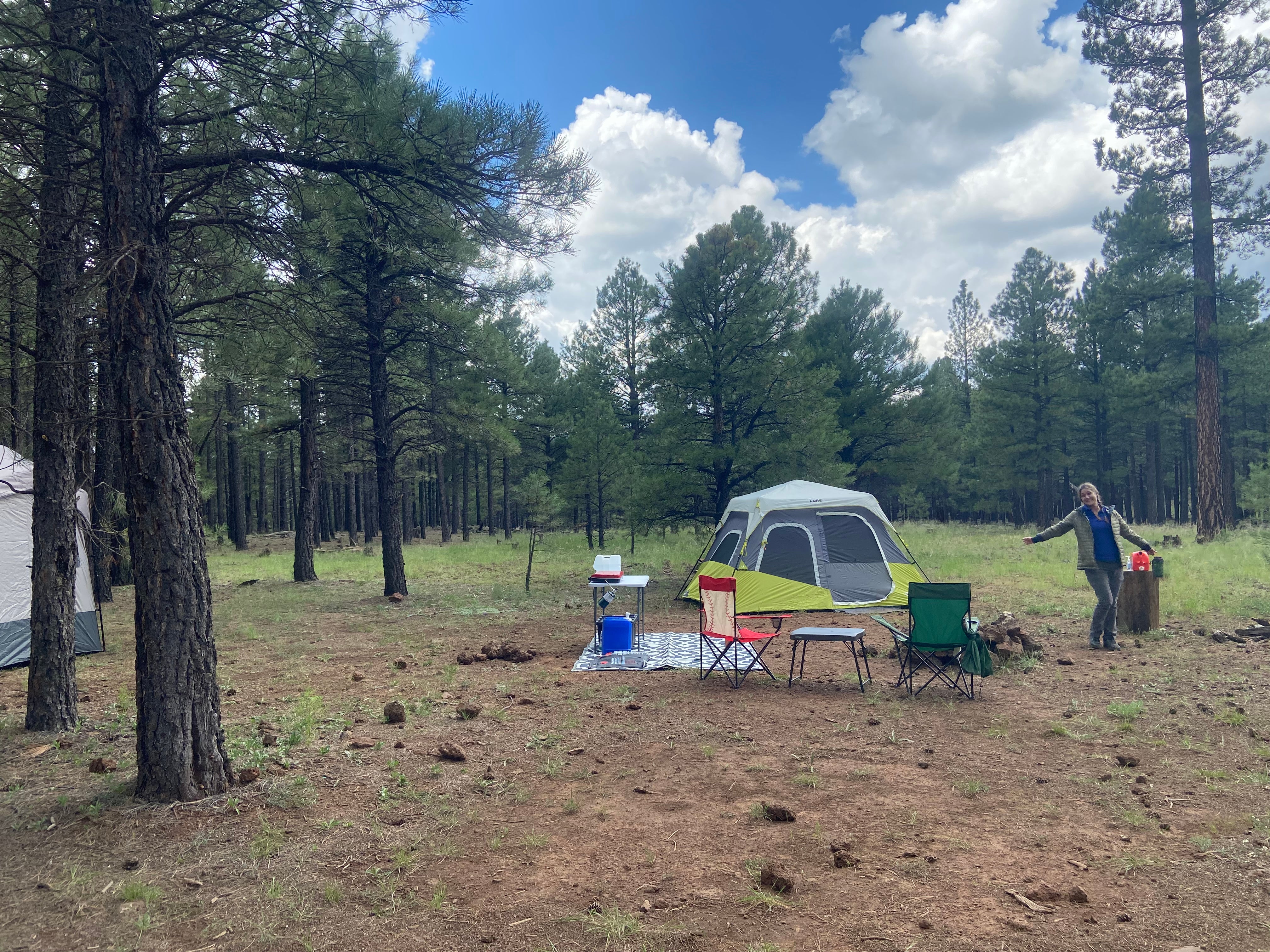 Camper submitted image from Walker Hill Dispersed (Coconino NF) - 4