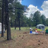 Review photo of Walker Hill Dispersed (Coconino NF) by Kelly M., September 8, 2021