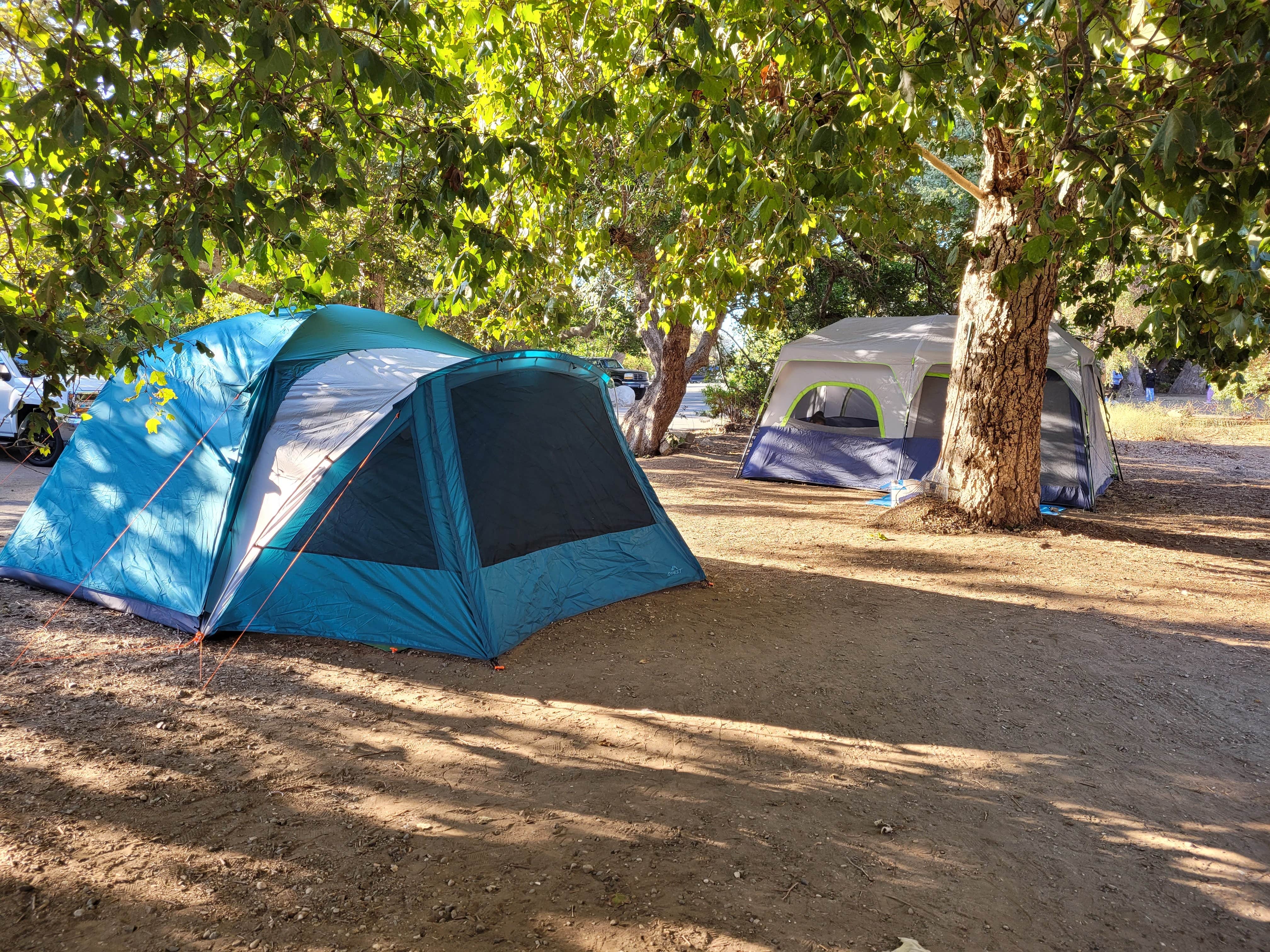 Efrain A.'s photo at Sycamore Campground near New Cuyama, CA