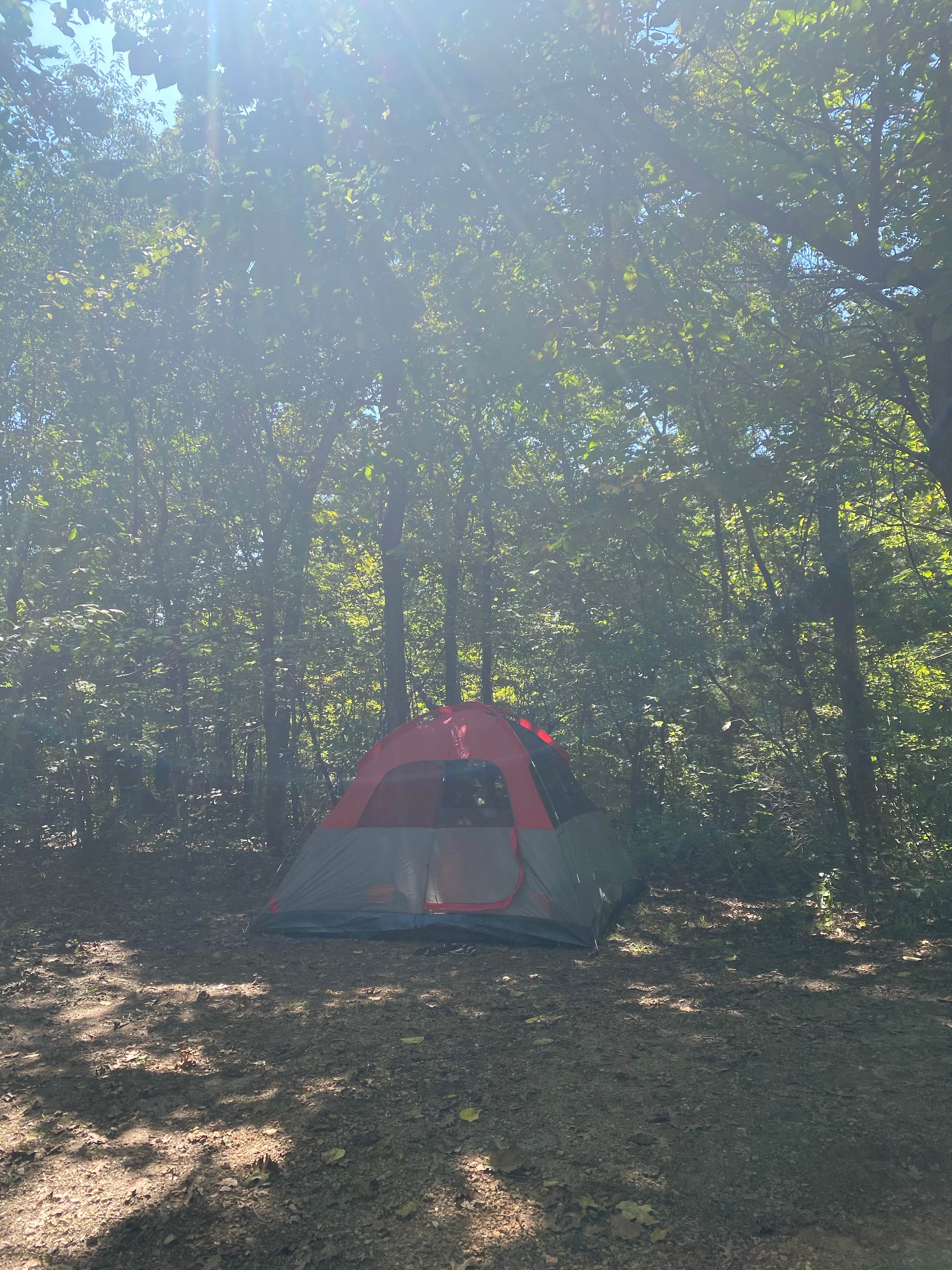 Morgan S.'s photo at Washington State Park Campground near Arnold, MO