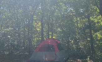 Morgan S.'s photo at Washington State Park Campground near Festus, MO