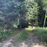 Review photo of County Road 14, Dexter Creek Backcountry by Mark , September 8, 2021