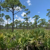 Review photo of Pine Grove Campground — Jonathan Dickinson State Park by Karen S., September 8, 2021