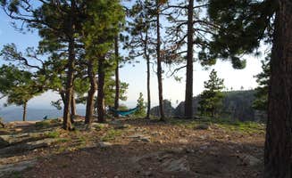 Rachel N.'s photo at Pine Dispersed near Pine, AZ