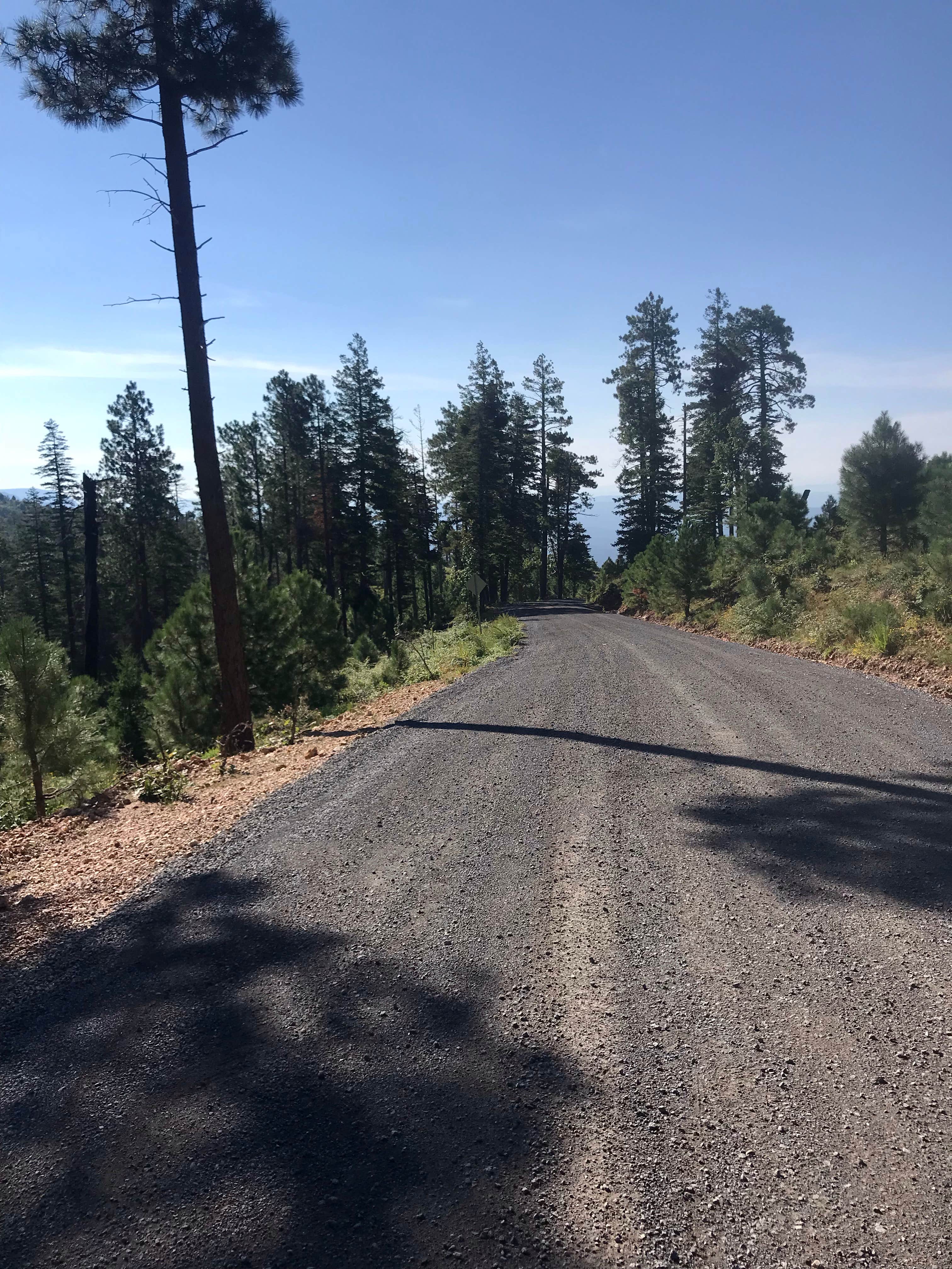 Camper-submitted photo at Pine Dispersed near Strawberry, AZ