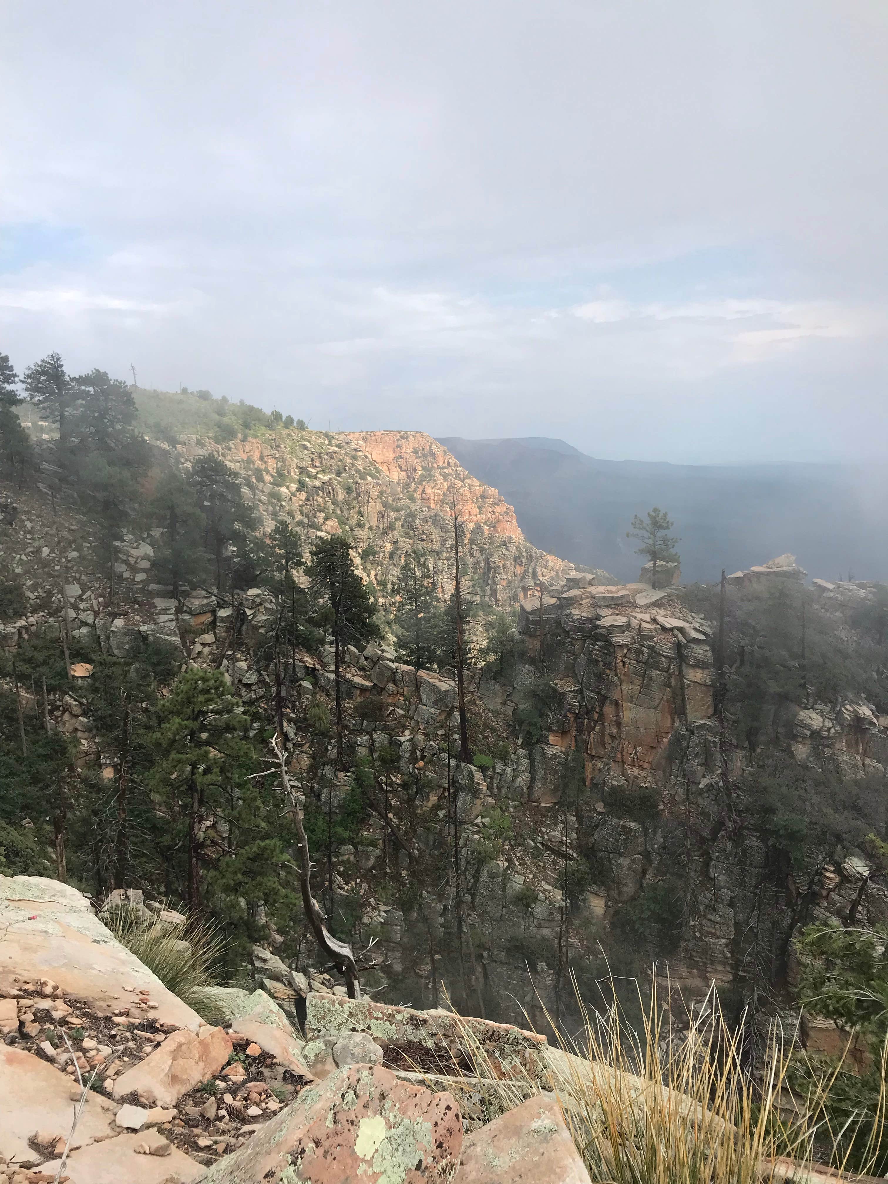 Camper-submitted photo at Pine Dispersed near Strawberry, AZ