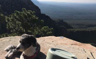 Rachel N.'s photo of camping with pets at Pine Dispersed near Strawberry, AZ