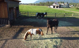 Steve L.'s photo of camping with pets at Honey's Place RV Spot near Kalispell, MT