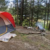 Review photo of Au Sable River Primitive Camping by Megan S., September 8, 2021