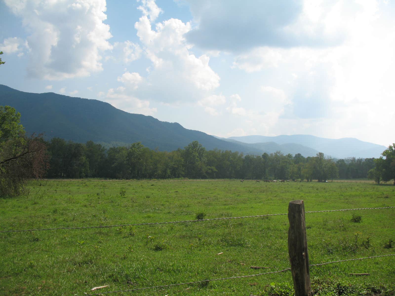 Camper submitted image from Smokemont Campground — Great Smoky Mountains National Park - 2