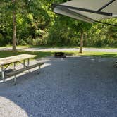 Review photo of Royal Oak Campground — Hungry Mother State Park by Martin&Annette T., September 8, 2021