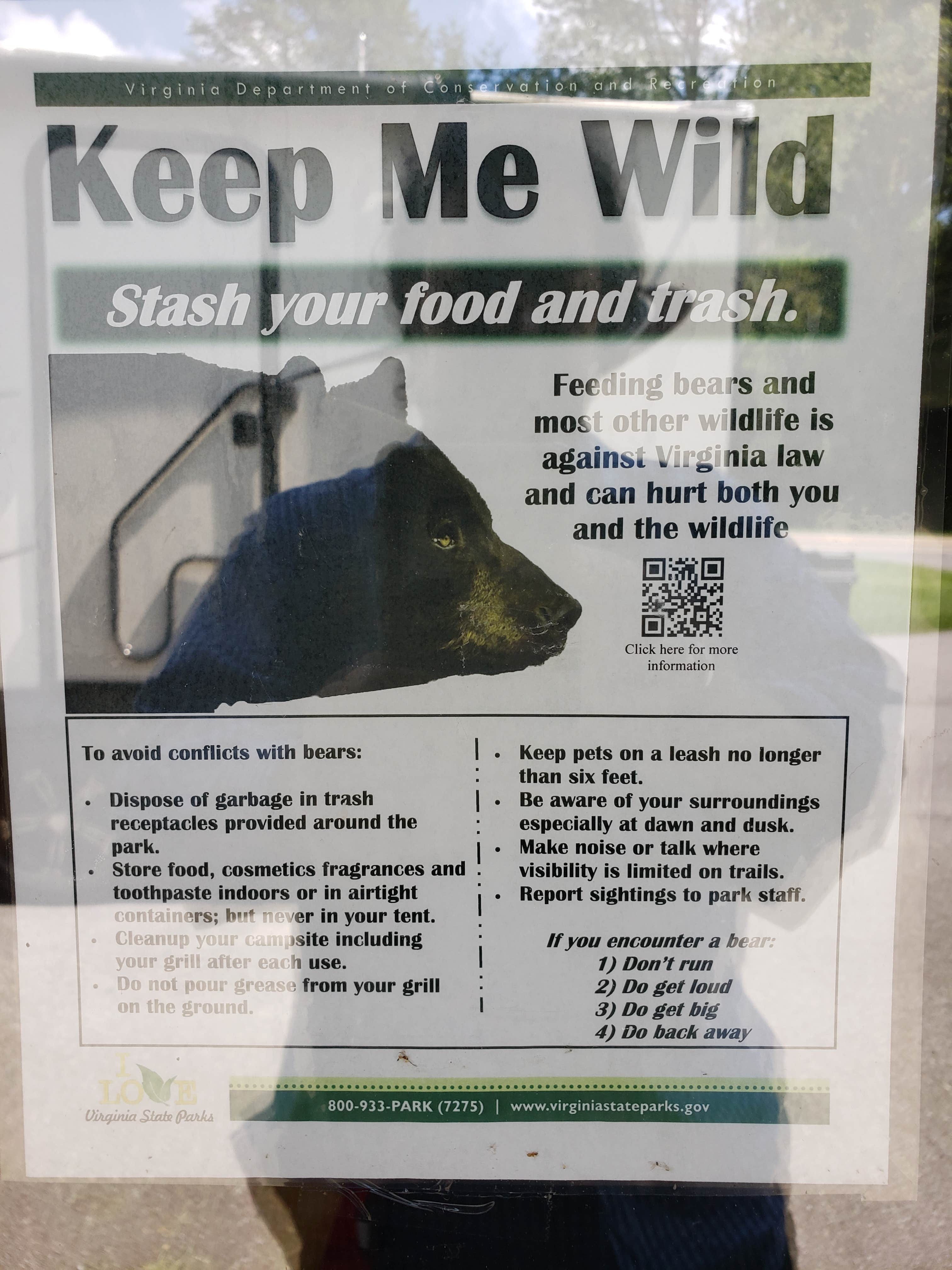 Martin&Annette T.'s photo of camping with pets at Royal Oak Campground — Hungry Mother State Park near Cleveland, VA