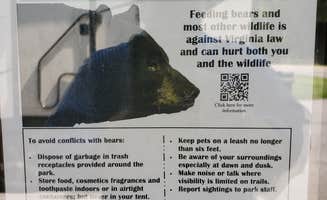 Martin&Annette T.'s photo of camping with pets at Royal Oak Campground — Hungry Mother State Park near Sugar Grove, VA