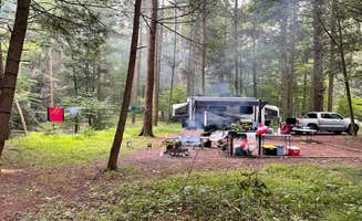 Nathan S.'s photo of tent camping at Big Run State Park Campground near Gray, PA