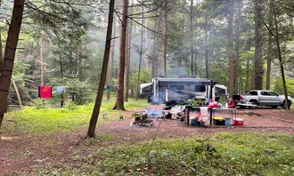 Camping near Swallow Falls State Park: Big Run State Park, Bloomington, Maryland