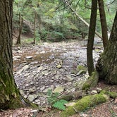 Review photo of Big Run State Park Campground by Nathan S., September 8, 2021