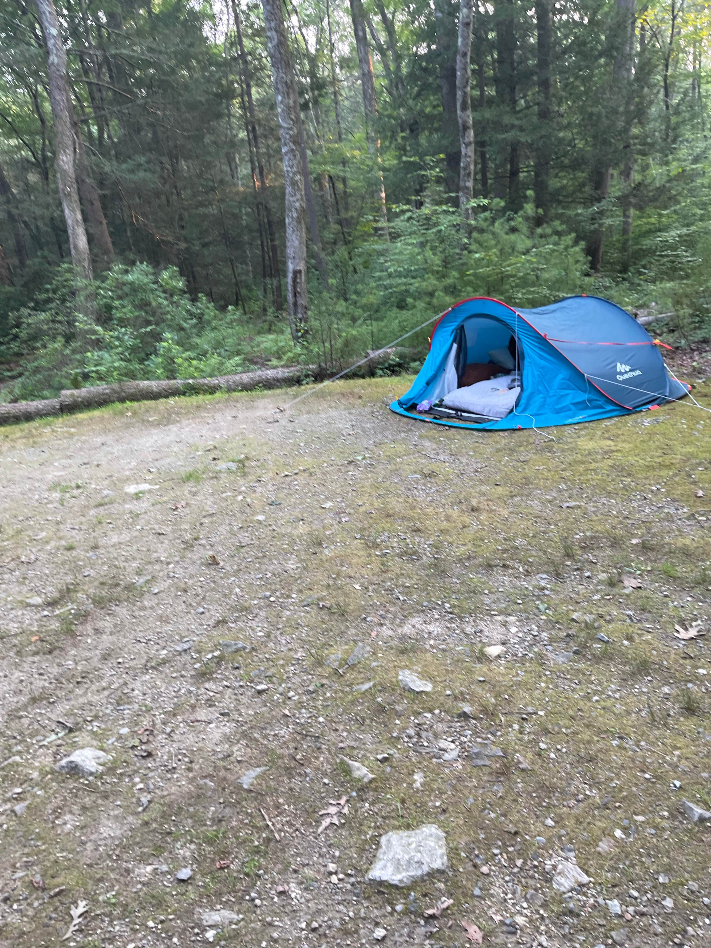 Cheryl B.'s photo at George Washington State Campground near Webster, MA