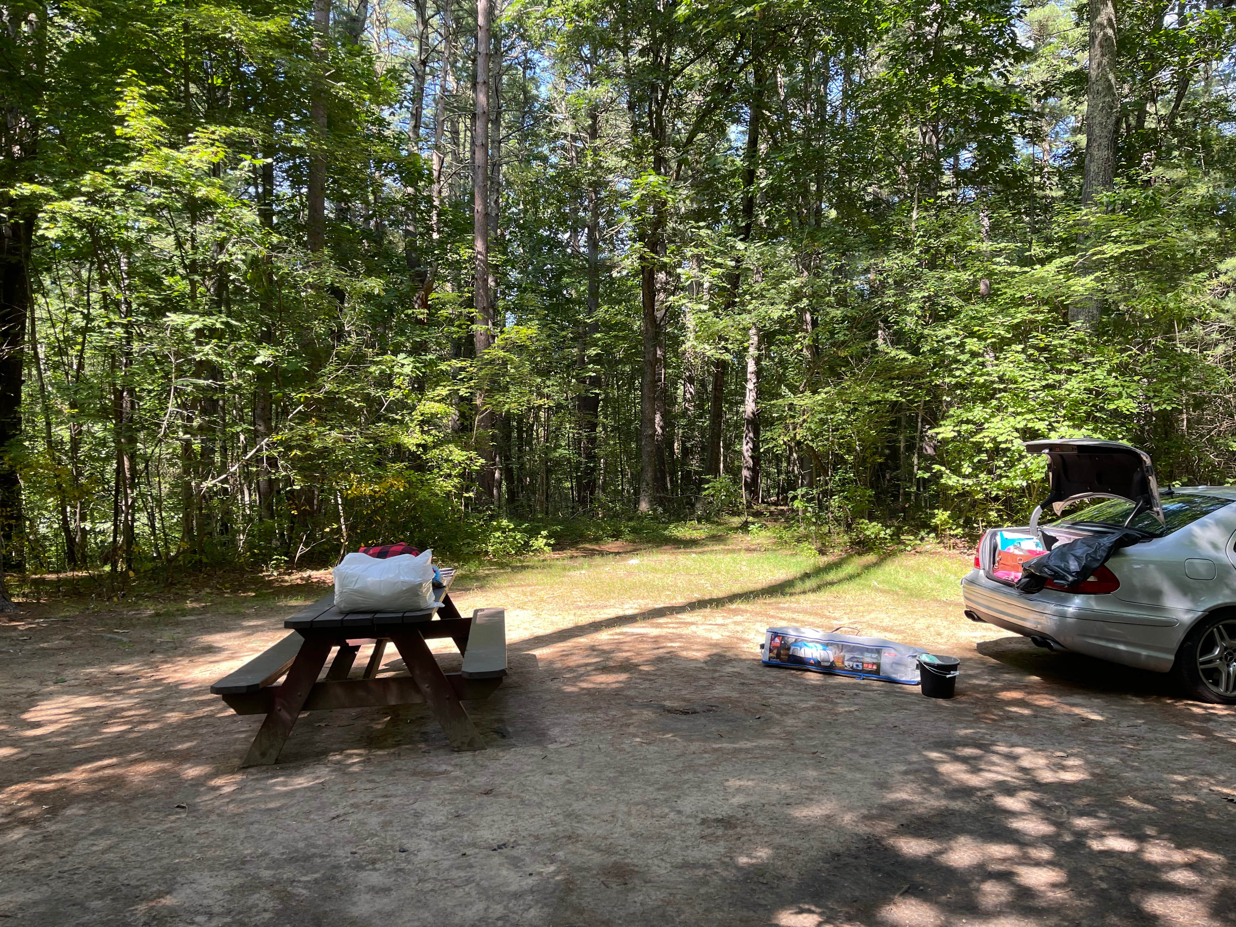 Cheryl B.'s photo at Lorraine Park Campground — Harold Parker State Forest near Boston, MA