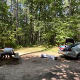 Review photo of Lorraine Park Campground — Harold Parker State Forest by Cheryl B., September 8, 2021