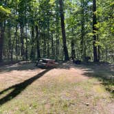 Review photo of Lorraine Park Campground — Harold Parker State Forest by Cheryl B., September 8, 2021