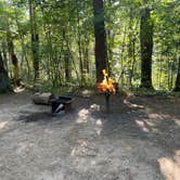 Review photo of Lorraine Park Campground — Harold Parker State Forest by Cheryl B., September 8, 2021