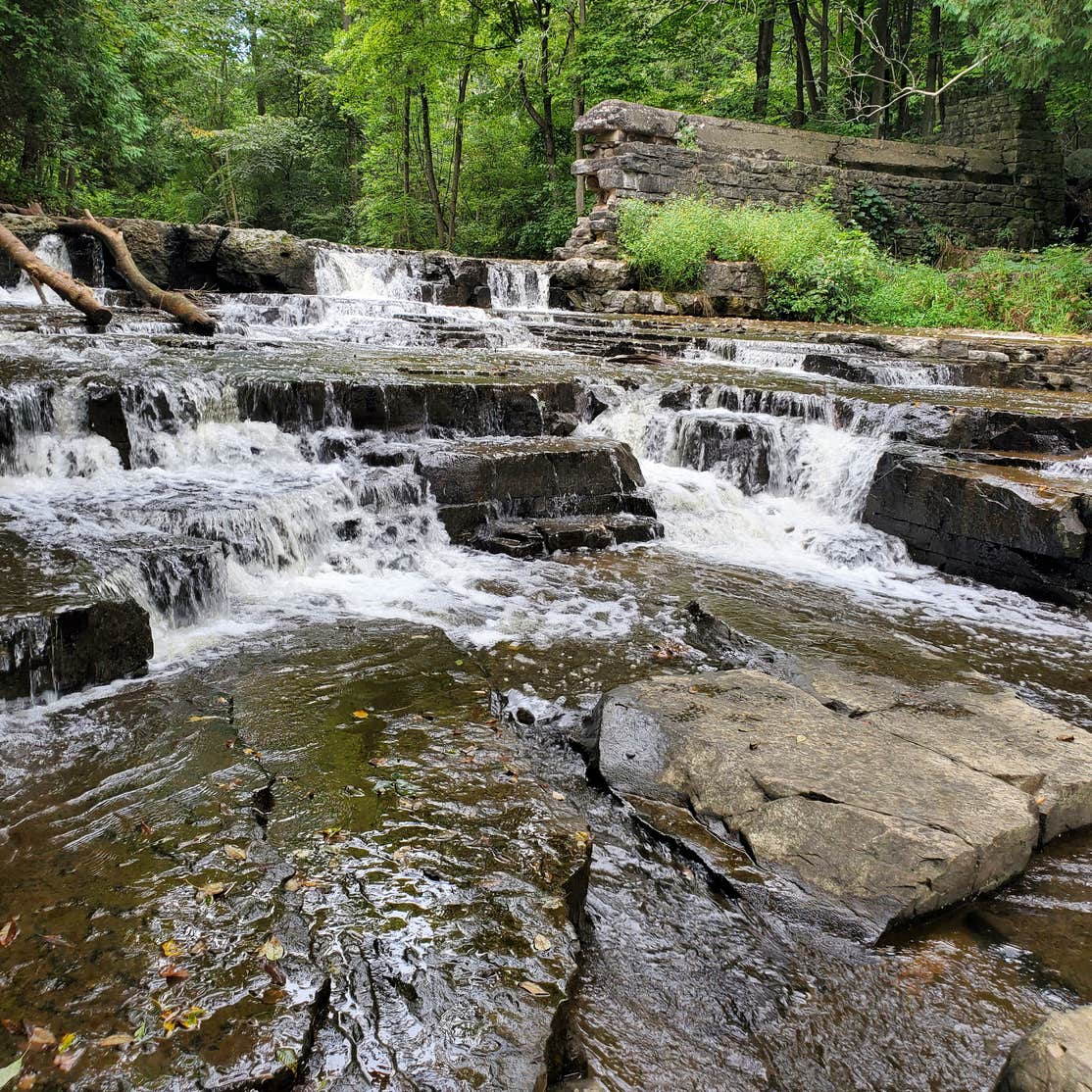 Devils River Campground | Maribel, WI