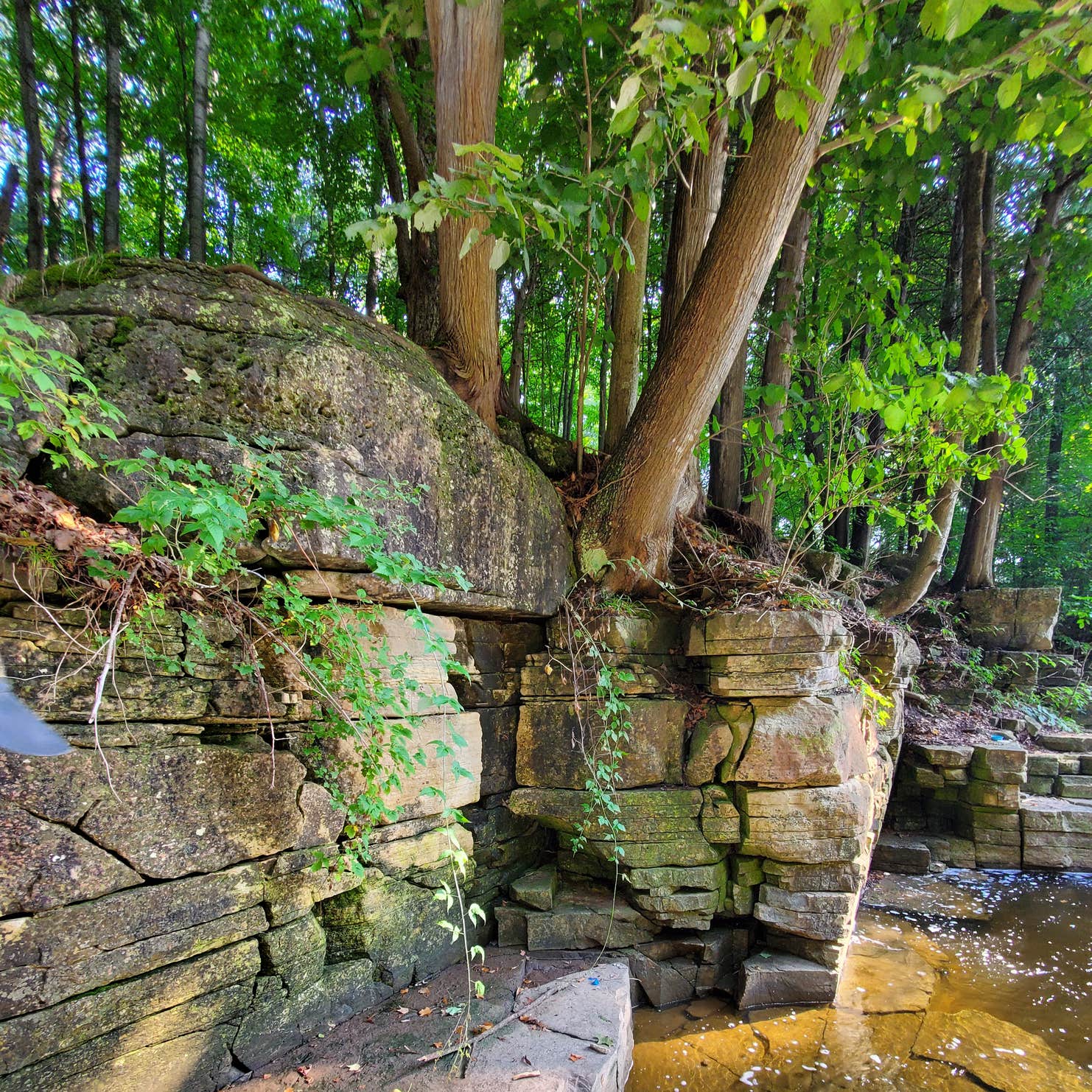 Devils River Campground Maribel, WI
