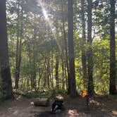 Review photo of Lorraine Park Campground — Harold Parker State Forest by Cheryl B., September 8, 2021