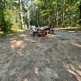 Review photo of Lorraine Park Campground — Harold Parker State Forest by Cheryl B., September 8, 2021